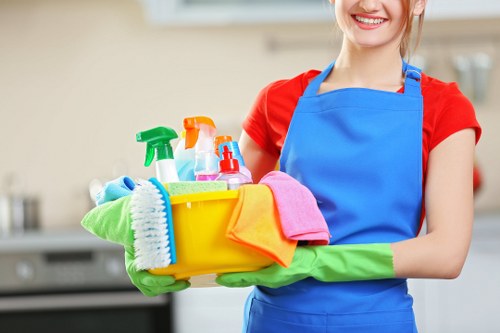 Professional one off cleaning service in a Ruislip home