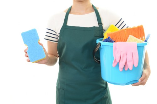 Domestic cleaning service for a family home in Ruislip