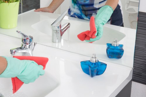 Regular home cleaning for flats and houses in Ruislip