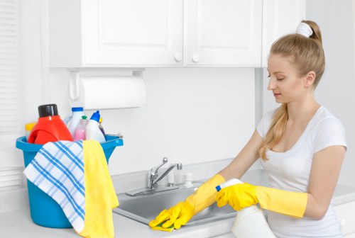 Window cleaner servicing conservatory and glass features in Ruislip
