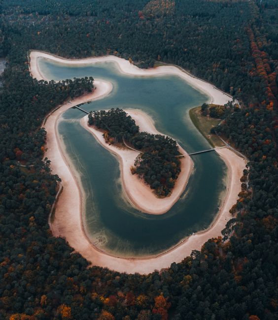 An aerial view of Ruislip Lido with a large, irregularly shaped lake surrounded by dense woodland. The lake features a central island covered with trees, and sandy shorelines contrast with the dark gr